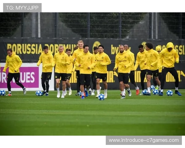 多特蒙德阵容调整与新赛季备战进展全面解析展望未来竞争格局