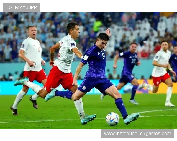 美国世界杯盛况回顾与未来赛事展望全面解析